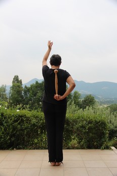 idogo - qi gong